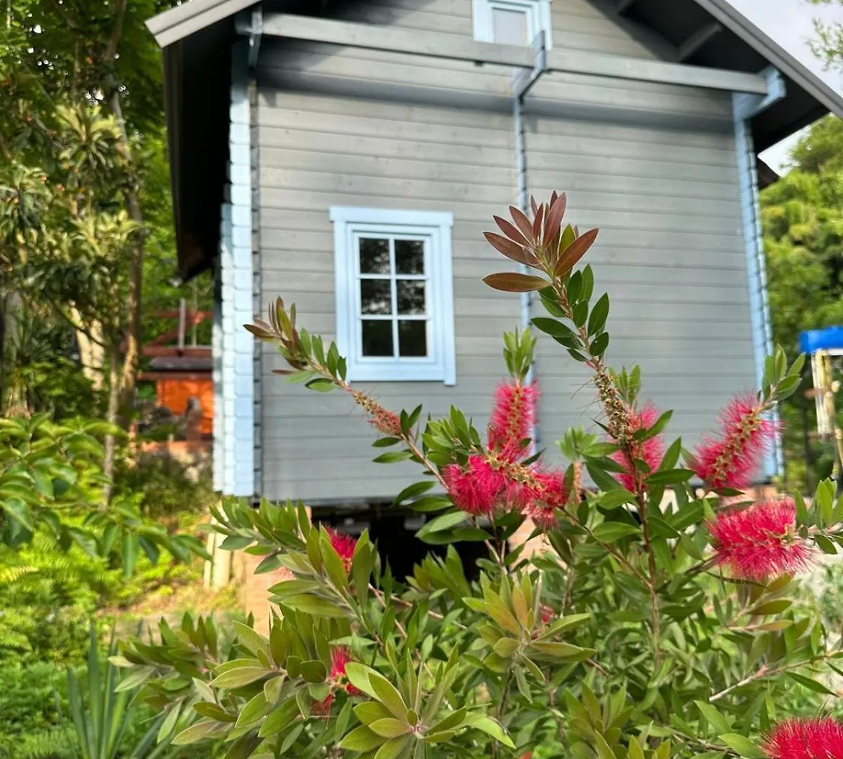 Eco House Villa Batumi