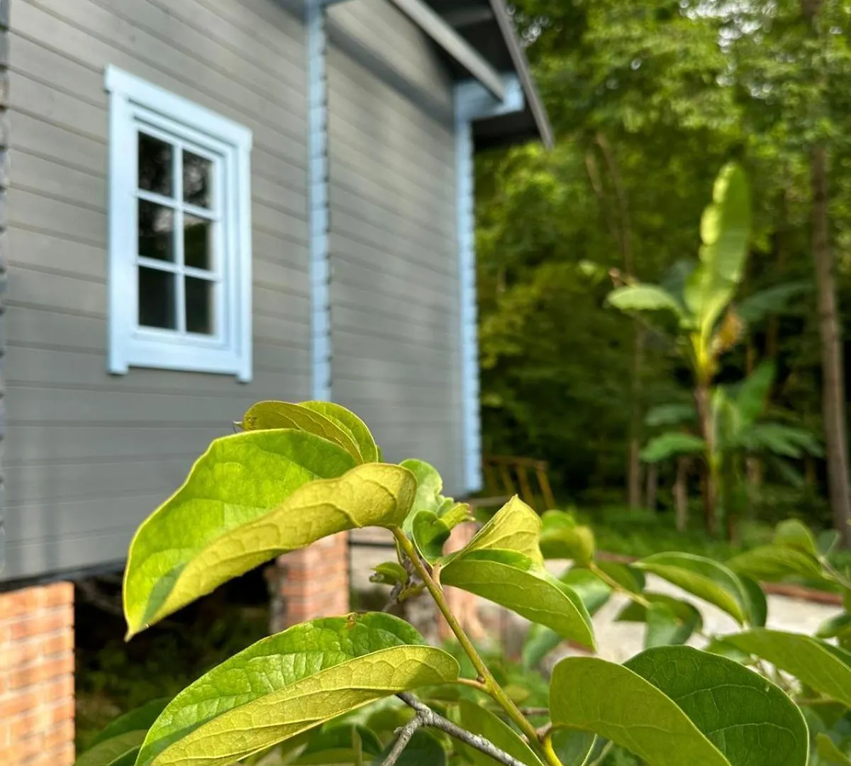 Eco House Villa Batumi